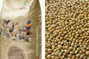 Bulgur Mercadona: Descubre la versatilidad y calidad de este delicioso cereal en el supermercado