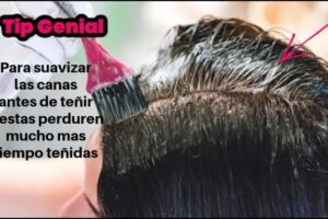 Descubre el tinte Olia de Mercadona: intensidad y cuidado para tu cabello