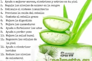 Descubre los beneficios del Aloe Vera puro de Mercadona: ¡La clave para una piel radiante!