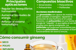 Descubre todos los beneficios del Ginseng de Mercadona: ¡Un superalimento para potenciar tu salud y bienestar!