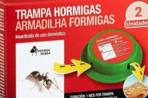 Las mejores trampas para hormigas de Mercadona: ¡adiós a las invasiones en casa!